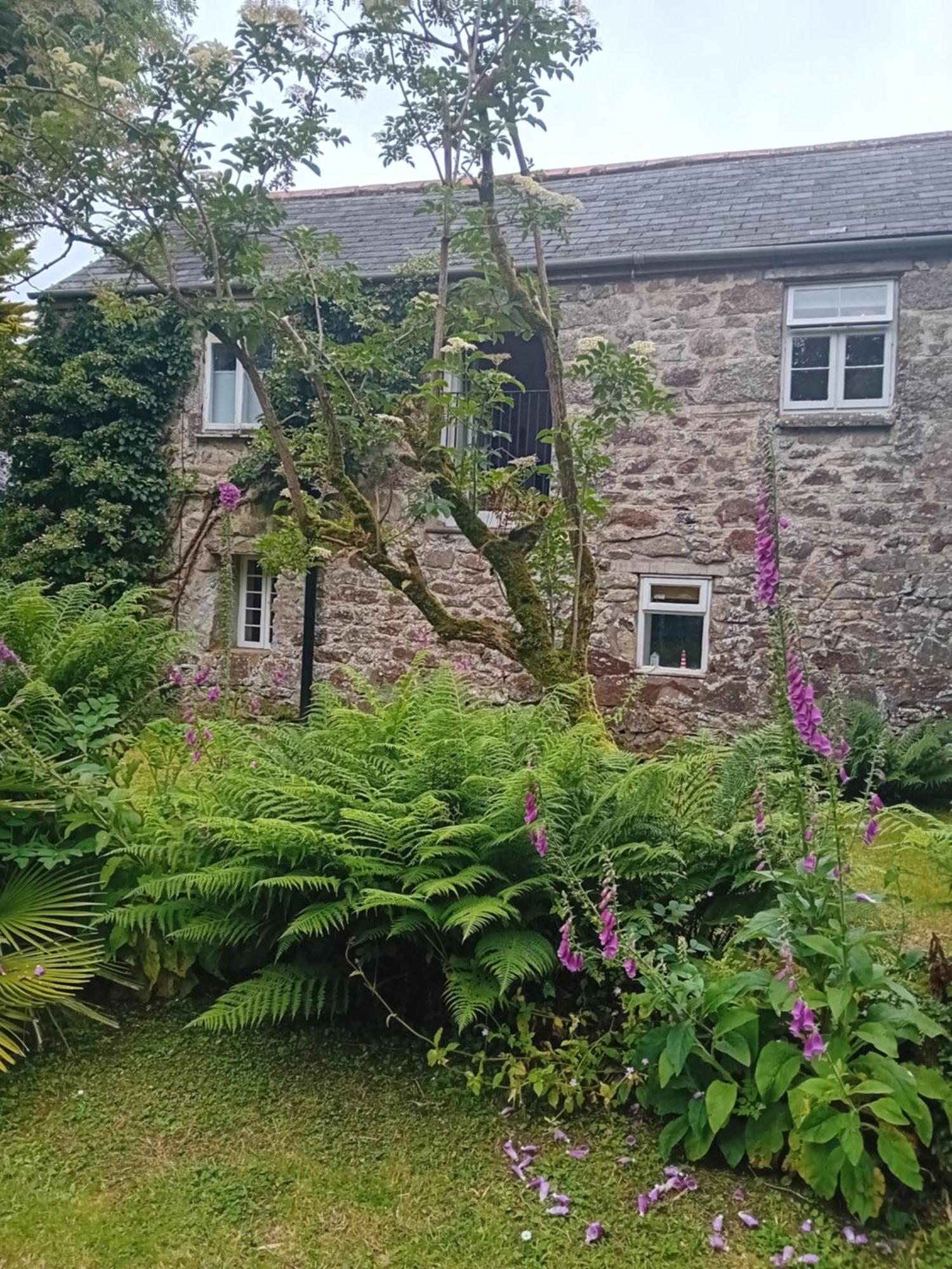 Chypons Farm Bed & Breakfast Penzance Exterior photo